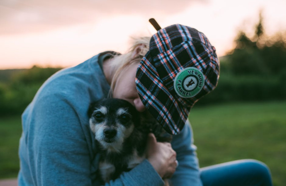 Nieuwe huisdierenverzekering helpt hoge kosten bij de dierenarts te vermijden